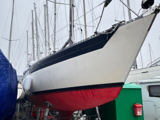Kings Cruiser 33