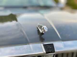 Jaguar XJ40 3.6 149kW