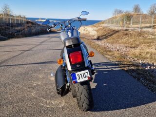 Harley-Davidson Deuce 100th Anniversary 46kW