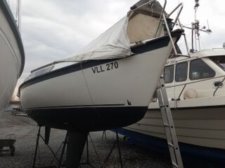 Scanper 22