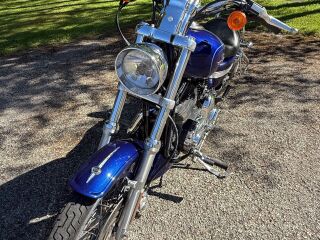 Harley-Davidson Sportster 1200 XL1200C Sportster Custom 1200 49kW
