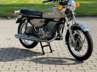 Suzuki GT 250 22kW