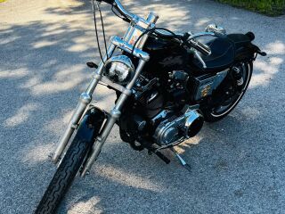 Harley-Davidson Sportster 1200 XL custom 43kW