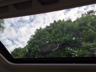 image_1783303774