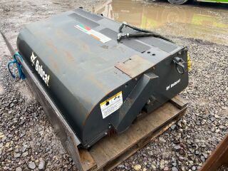 Bobcat HARI