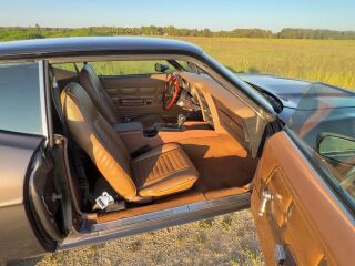 Ford Mustang Restomod 5.0 307kW