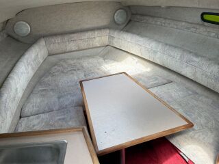 Sea Ray 230