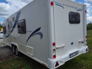 Bailey Pegasus Bologna