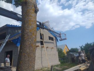 MAN 26.403 FNLC 294kW