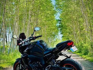Yamaha FZ 1 ABS 110kW
