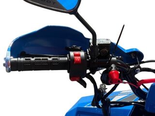 Tao Motor Premium Mudhawk 110