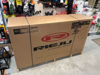 Rieju MR Racing 300 GASGAS R1 40kW