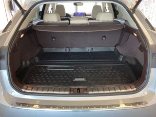 Lexus RX 450h Executive + Tehnoloogia pakett 3.5 193kW