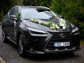 Lexus NX 450h+ 2.5 227kW