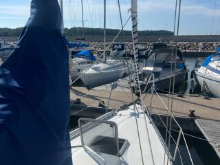 Kings Cruiser 33