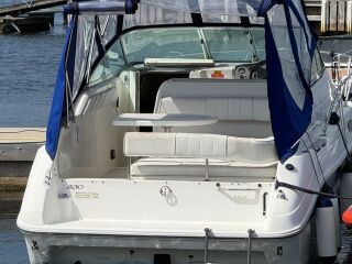 Sea Ray 230