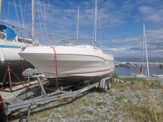 Quicksilver Flamingo 620 ÕRNVIK 3.0 101kW