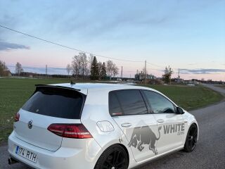 Volkswagen Golf GTI 2.0 R4 236kW