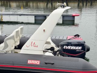 Brig EAGLE 600 L Evinrude E-Tec 115hp