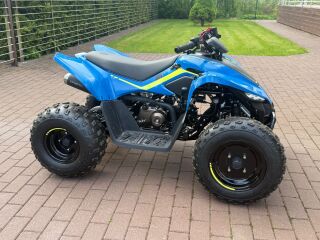 CFMOTO CFORCE 110