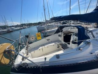 Kings Cruiser 33