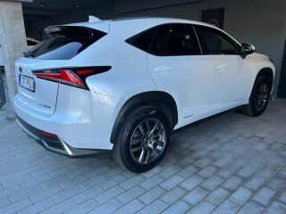 Lexus NX 300h Executive Facelift 2.5 114kW