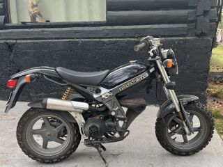 Suzuki Street Magic