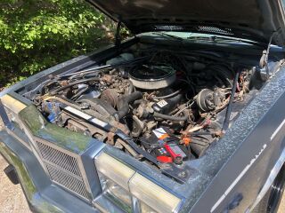 Dodge Diplomat SE 5.2 Mopar 318 V8 105kW