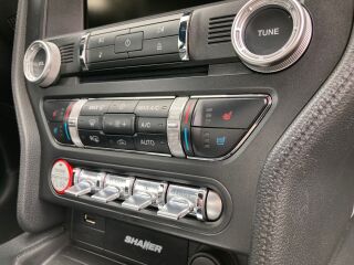 Ford Mustang GT 5.0 310kW