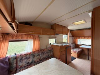 Solifer Goldie 470 Põhjamaine