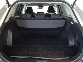 Toyota RAV4 Luxury Comfort Pakett 131kW