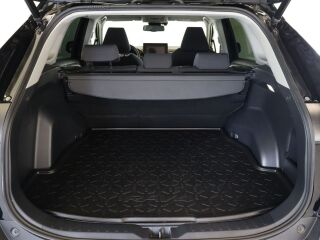 Toyota RAV4 Luxury Comfort Pakett 129kW