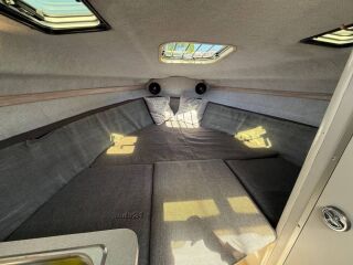 Regal Valiantti 225 SC 225hp 4.3 V6