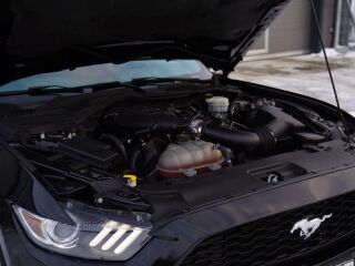 Ford Mustang 3.7 224kW