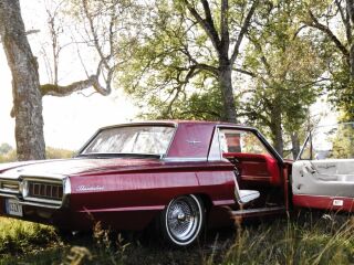 Ford Thunderbird 6.4 V8 224kW