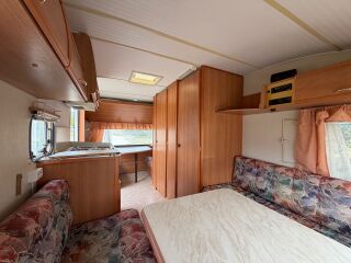 Solifer Goldie 470 Põhjamaine