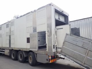 MAN TGX 35.540 8X4 TRIDEM ANIMAL 397kW