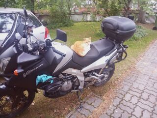 Suzuki V-Strom 1000 K3 V2 72кВ