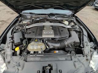 Ford Mustang Cabrio Facelift GT 5.0 343kW