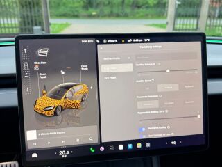 Tesla Model 3 Performance Dual Motor 190 KW 461kW