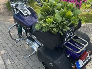 Harley-Davidson Dyna Wide Glide 50kW