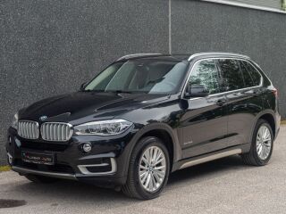 BMW X5 xDrive30d Pure Experience F15 3.0 R6 N57T 190kW