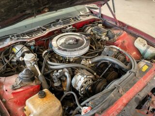 Chevrolet Camaro 5.0 V8 142kW