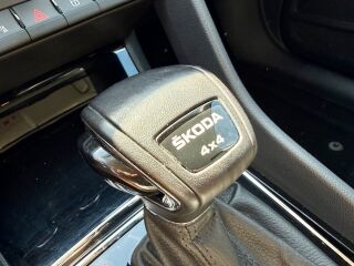 Skoda Kodiaq 4x4 2.0 TDI 110kW