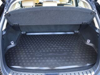 Lexus NX 300h 2.5 114kW