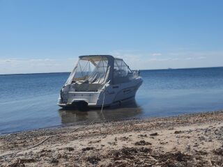 Quicksilver Flamingo 620 ÕRNVIK 3.0 101kW