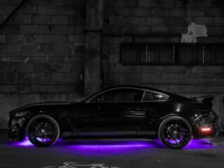 Ford Mustang 5.0 V8 324kW