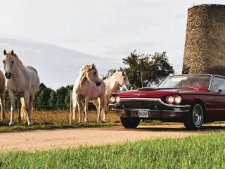 Ford Thunderbird 6.4 V8 224kW