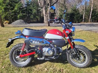 Honda Monkey Z125M