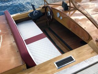 Cobra  Evinrude E30 DPSL 22kW